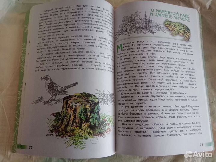 Книга великан на поляне