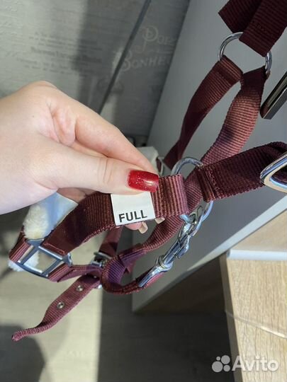 Недоуздок для лошади