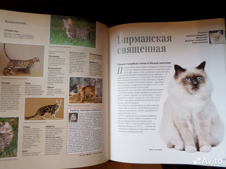 Энциклопедия кошки