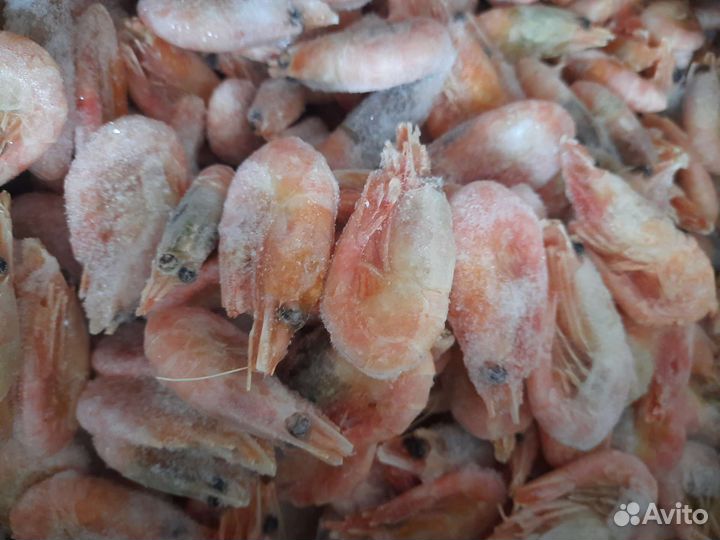 Форель свежая Крымская, морепродукты, рыба
