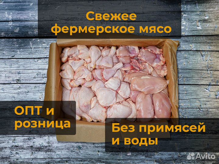 Курица домашняя
