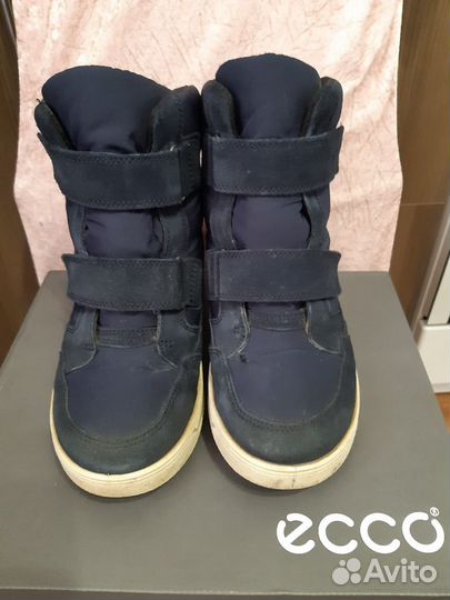 Демисезонные ботинки Ecco (Gore-tex)