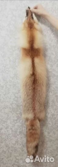 Шкурки лисы