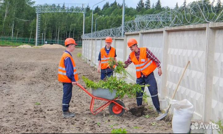 Разнорабочие / Бригада разнорабочих