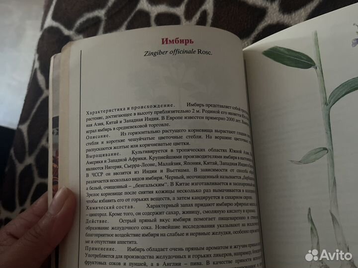 Книга Пряности