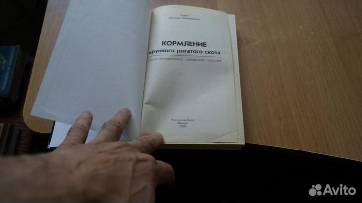 Кормление крупного рогатого скота 2008 год