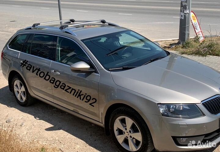 Багажник Turtle AIR1 на рейлинг серебро