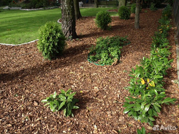 Кора(мульча) лиственницы, сосны