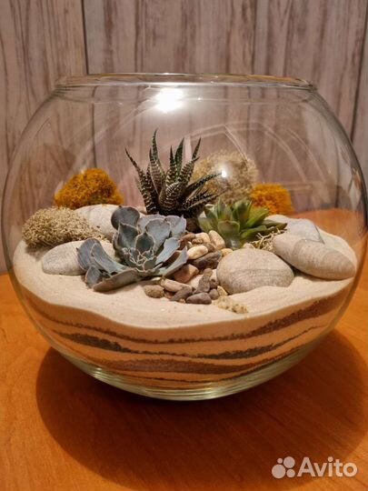 Флорариум с суккулентами в вазе шар