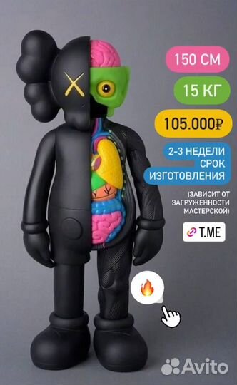 Kaws anatomy