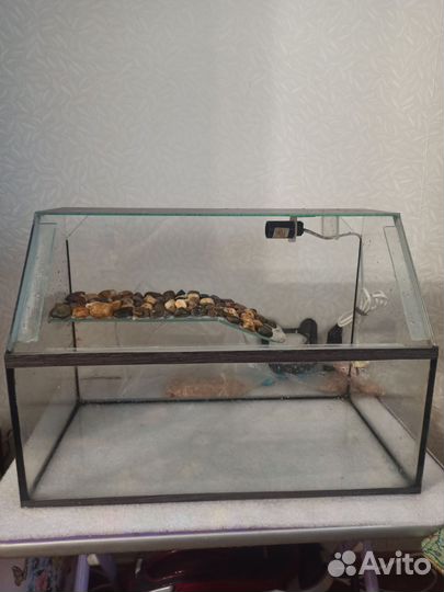 Террариум для черепахи