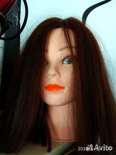 Учебная голова манекен