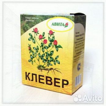 Клевер Оптом Авита