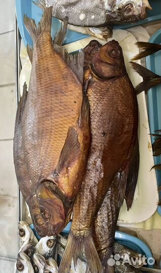 Копченая и вяленая рыба