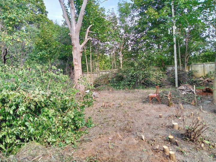 Дом 46,1 м² на участке 8,4 сот.