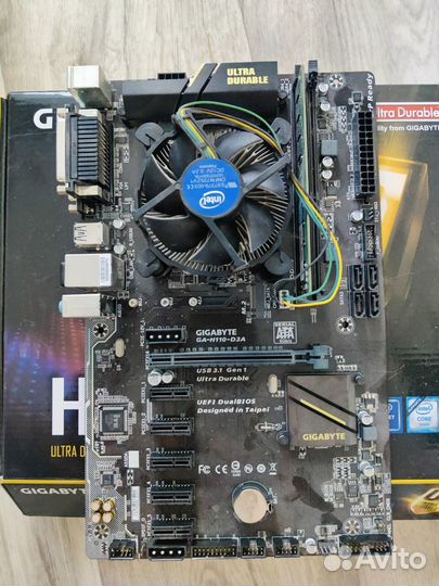 Asus Prime B365-Plus + intel Gold + 8gb