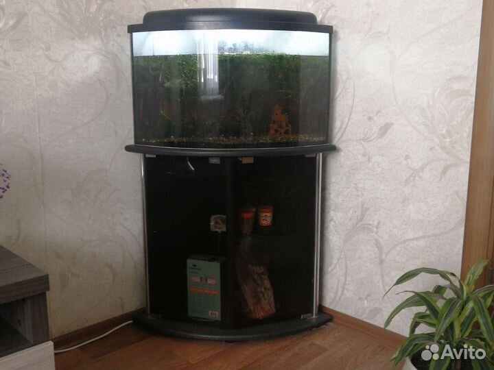 Аквариум 70 литров с тумбой