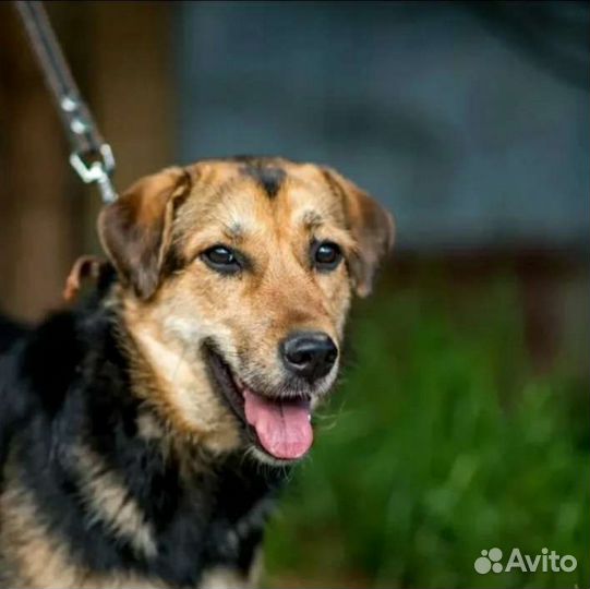 Лана душа компании