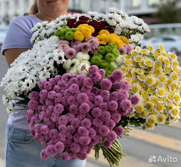 Хризантемы