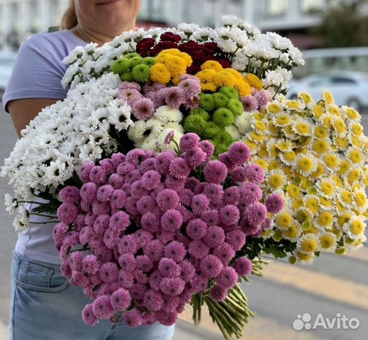 Хризантемы