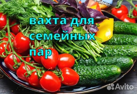 Работа/вахта/овощевод без опыта