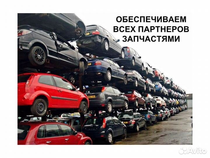Готовый бизнес автозапчасти