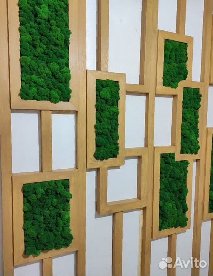 Стабилизированный мох, панно