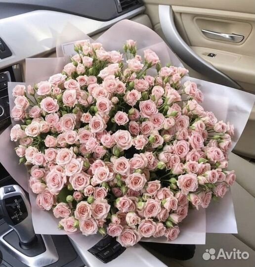 31 Роза пионовидная