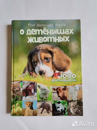 Моя большая книга о детенышах животных 1000 фото