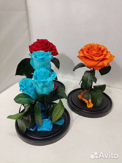 Роза в колбе оптом