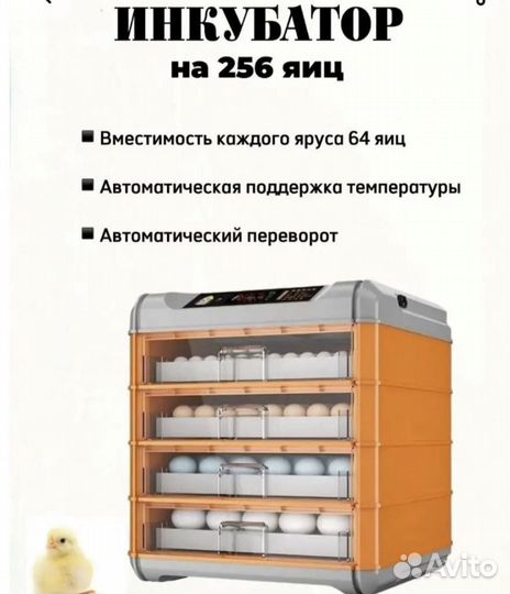 Инкубатор для яиц автоматический бу