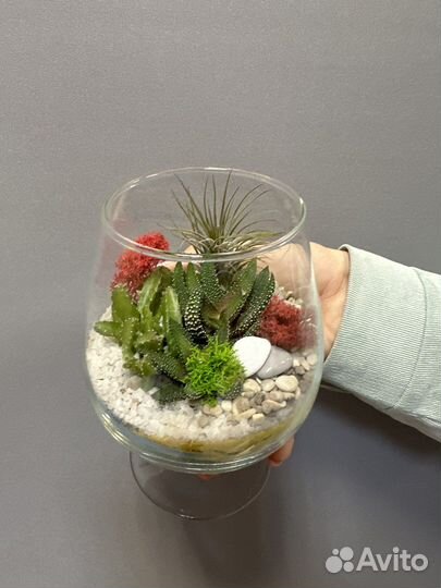 Флорариум в наличии и под заказ