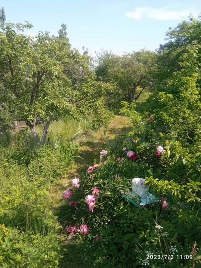 Дача 10 м² на участке 7,8 сот.