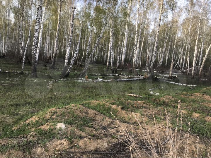 Участок 22 сот. (СНТ, ДНП)