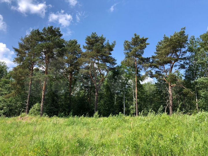 Участок 2,7 га (СНТ, ДНП)