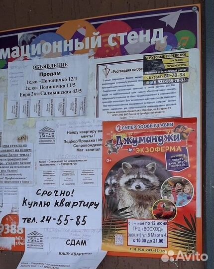 Расклейка объявлений Орск