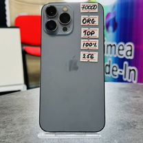 iPhone 13 Pro Max, 256 ГБ