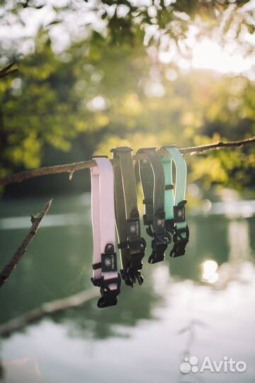 Ошейник и поводок для собаки