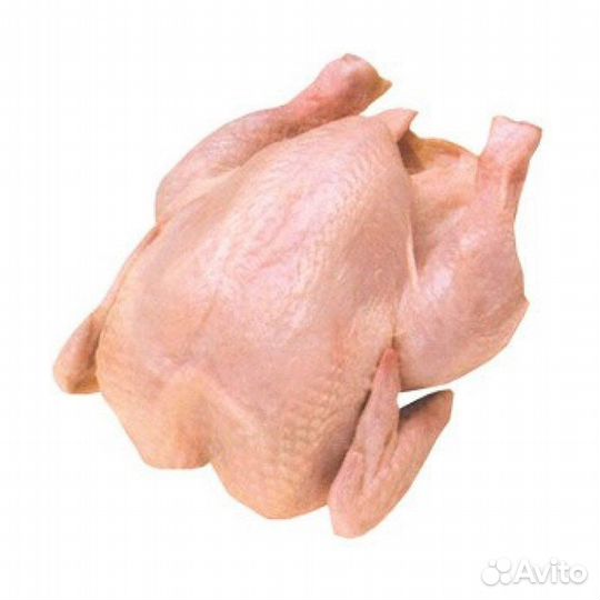 Броллеры свежее мясо