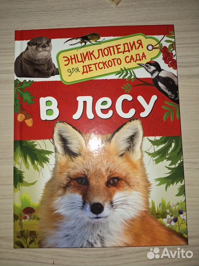 Книга энциклопедия для детского сада