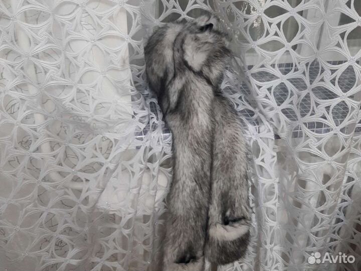 Волкошапка