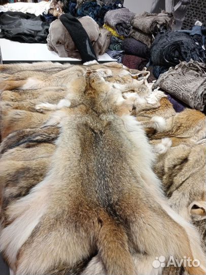 Натуральный мех койот, луговой волк шкурки