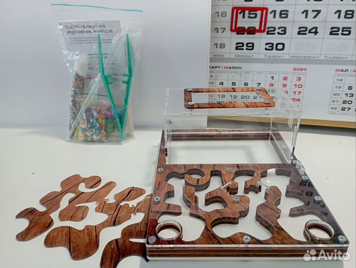 Муравьиная ферма с сертификатом на муравьёв