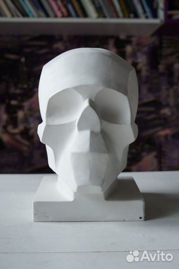 Череп обобщённых плоскостей (гипс)