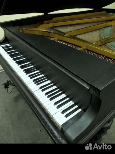 Рояль Bluthner, кабинетный 170 см