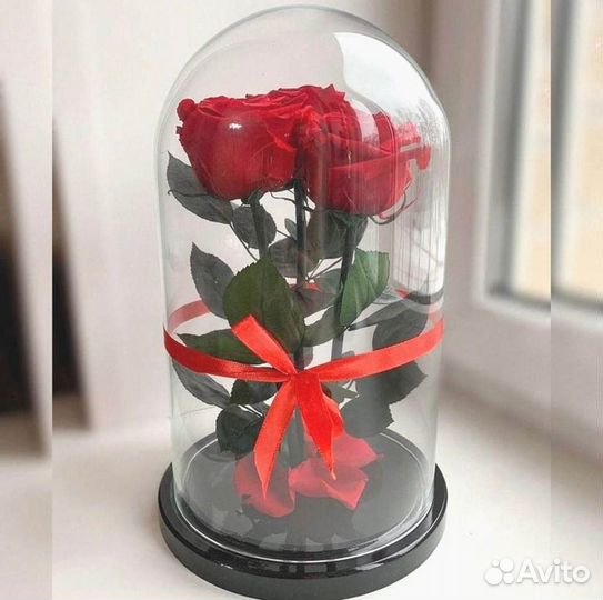 Роза в колбе. Стоит до 8 лет