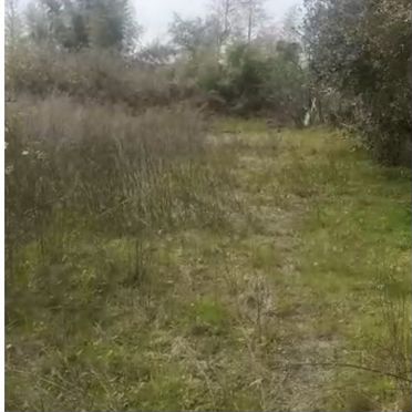 Участок 8400 м² (Абхазия)