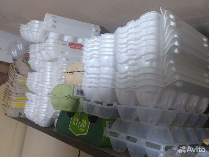 Лотки для яиц