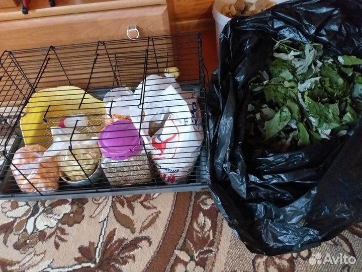 Клетка для грызунов и кроликов