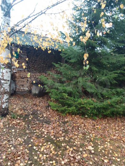 Дом 25 м² на участке 12 сот.